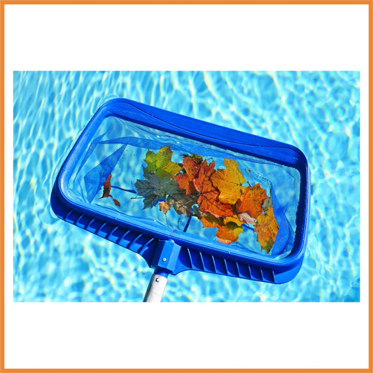 Basic Pool Maintenance Tips - WA Pool Warehouse