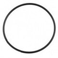Monarch O-Ring For Filter Union 50mm - WA Pool Warehouse Your pool store